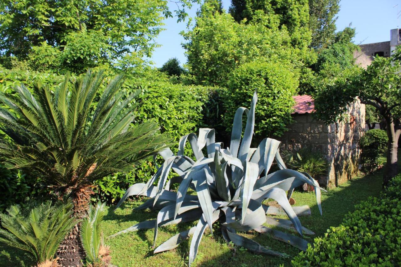 Il Giardino Degli Agrumi カゼルタ エクステリア 写真