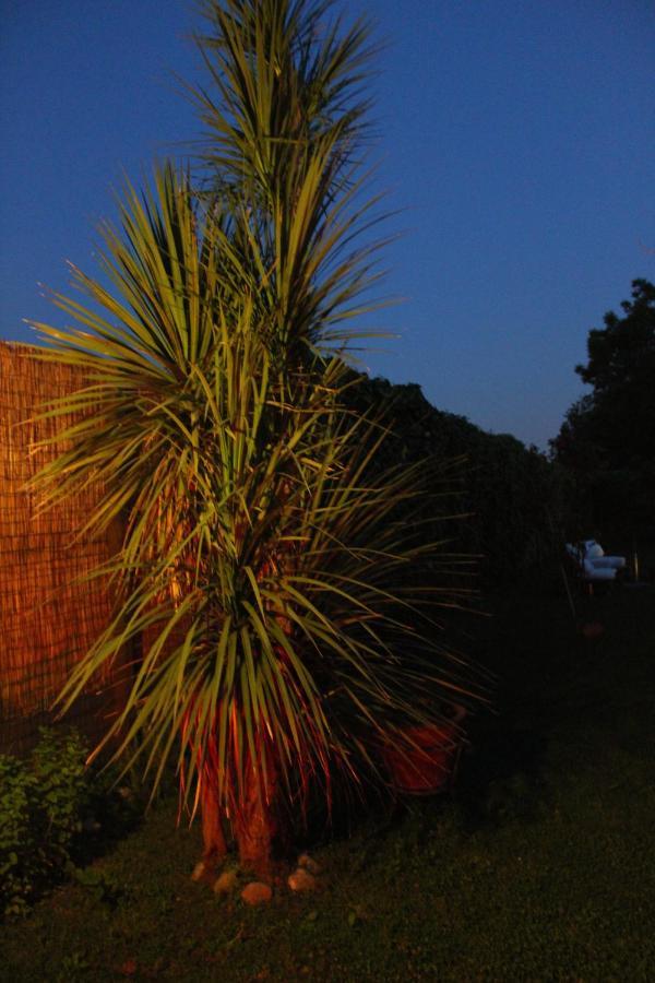 Il Giardino Degli Agrumi カゼルタ エクステリア 写真