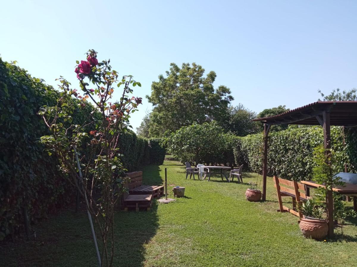 Il Giardino Degli Agrumi カゼルタ エクステリア 写真