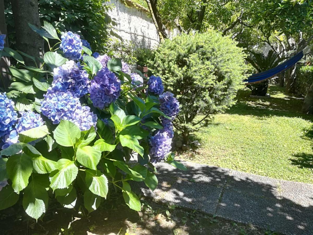 Il Giardino Degli Agrumi カゼルタ エクステリア 写真