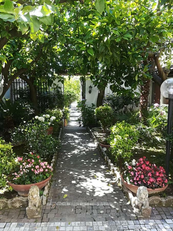 Il Giardino Degli Agrumi カゼルタ エクステリア 写真