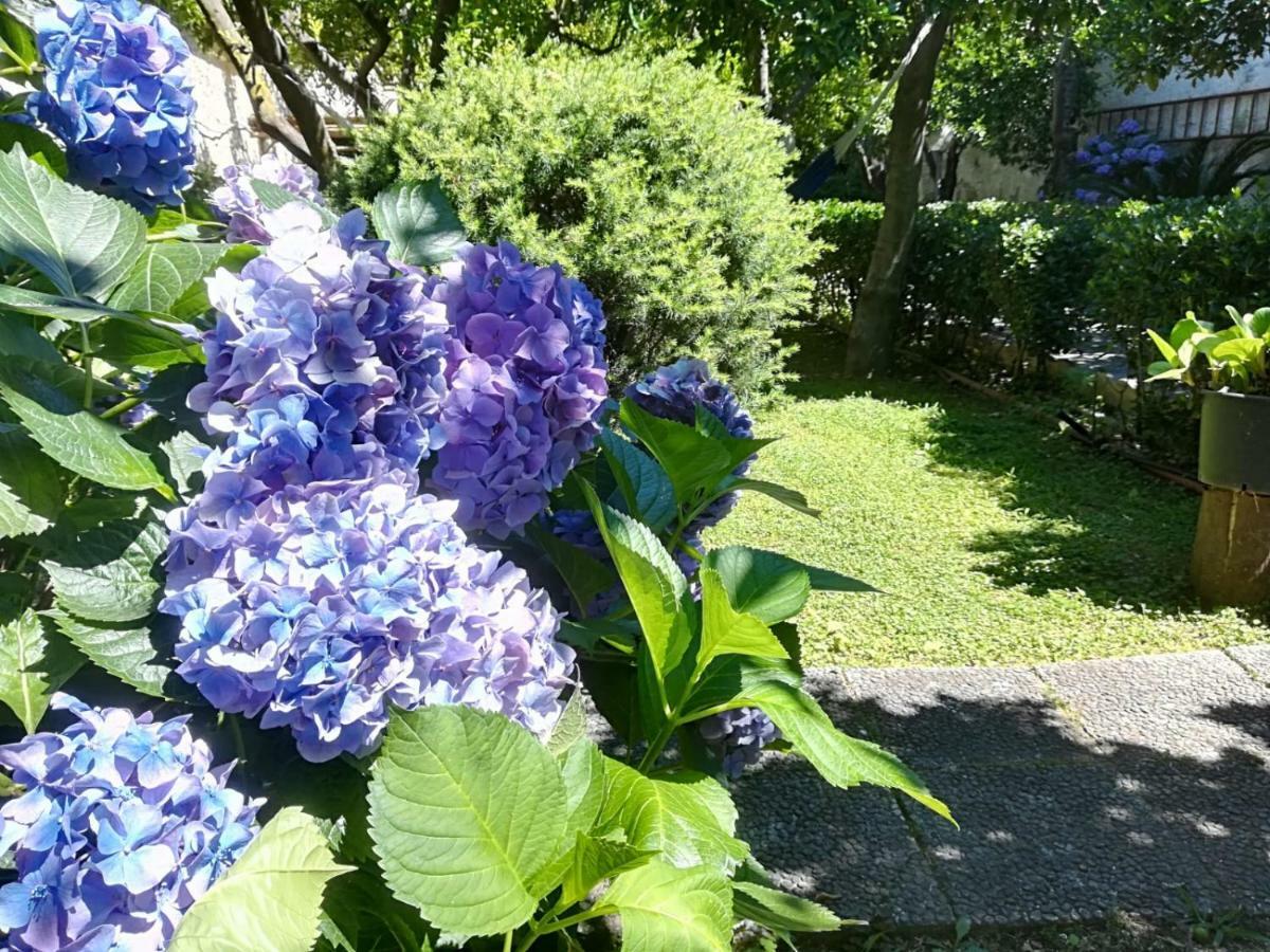Il Giardino Degli Agrumi カゼルタ エクステリア 写真